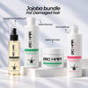Damaged and Protected hair bundle